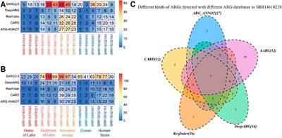 Utilizing Metagenomic Data and Bioinformatic Tools for Elucidating Antibiotic Resistance Genes in Environment